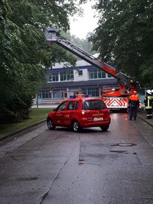 LZ-Odenthal-Nord: umgestürzter Baum Odenthal Schulzentrum